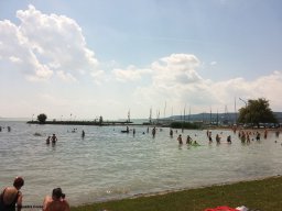 Alfa City 2017