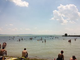 Alfa City 2017