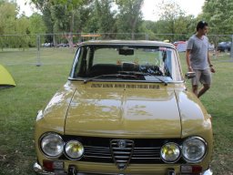 Alfa City 2017