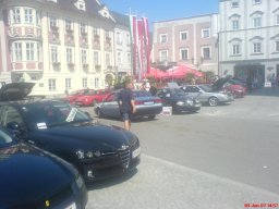 Cavalli Sportivi