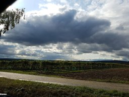 Herbstausfahrt 2019