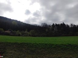 Frühlingsausfahrt 2024
